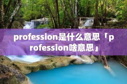 profession是什么意思「profession啥意思」