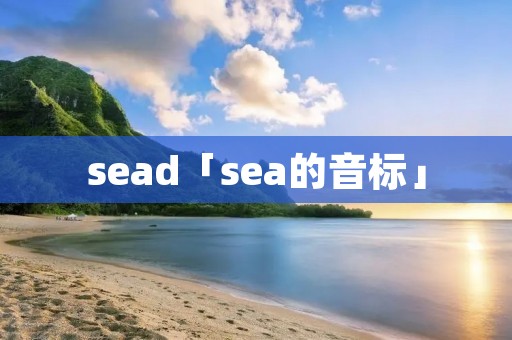 sead「sea的音标」