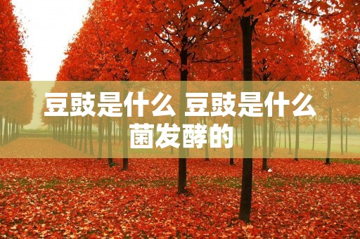 豆豉是什么 豆豉是什么菌发酵的
