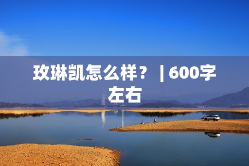 玫琳凯怎么样? | 600字左右