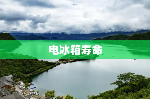 电冰箱寿命:你真的知道它能用多久吗? 电冰箱寿命:你真的知道它能用多久吗?