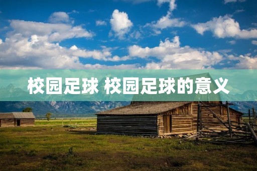 校园足球 校园足球的意义