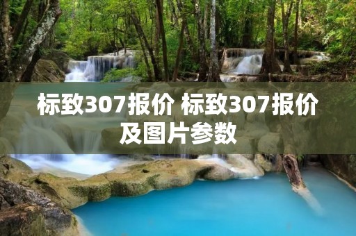 标致307报价 标致307报价及图片参数