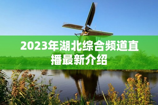 2023年湖北综合频道直播最新介绍 2023年湖北综合频道直播最新介绍