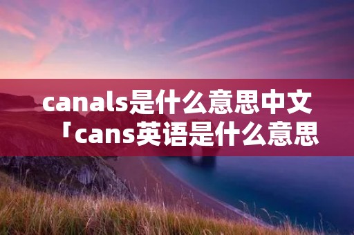c****s是什么意思中文「cans英语是什么意思」 c****s是什么意思中文「cans英语是什么意思」