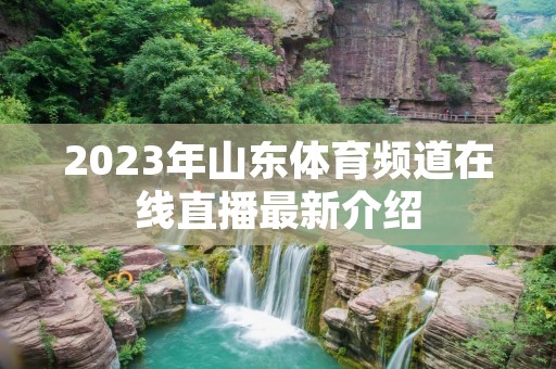2023年山东体育频道在线直播最新介绍 2023年山东体育频道在线直播最新介绍