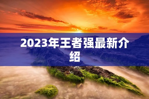2023年王者强最新介绍