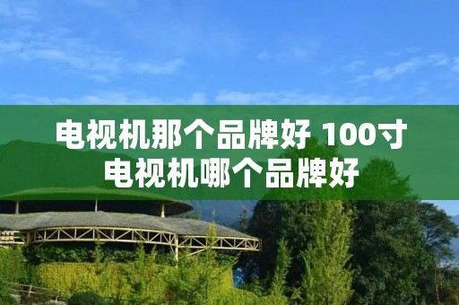 电视机那个品牌好 100寸电视机哪个品牌好 电视机那个品牌好 100寸电视机哪个品牌好
