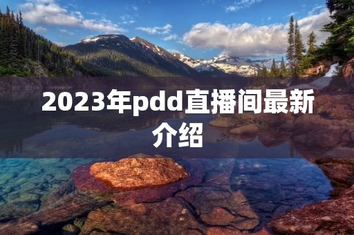 2023年pdd直播间最新介绍
