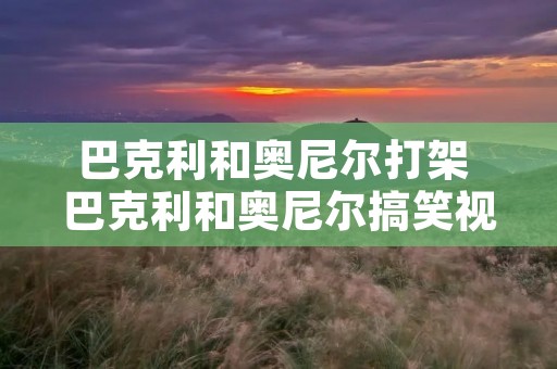 巴克利和奥尼尔打架 巴克利和奥尼尔搞笑视频