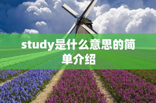 study是什么意思的简单介绍