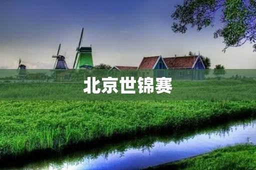 北京世锦赛：中国体育的崭新高度