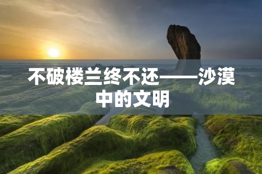 不破楼兰终不还——沙漠中的文明 不破楼兰终不还——沙漠中的文明