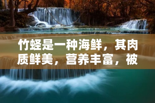 竹蛏是一种海鲜，其肉质鲜美，营养丰富，被广泛地用于各种烹饪中。其中，竹蛏的清蒸是一种非常受欢迎的做法。本文将详细介绍竹蛏清蒸的做法，希望能够对喜欢海鲜的朋友有所帮助。