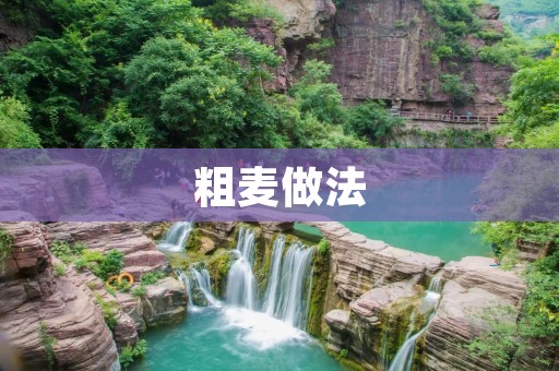 粗麦做法：健康又美味的选择