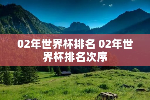 02年世界杯排名 02年世界杯排名次序