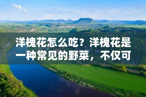 洋槐花怎么吃？洋槐花是一种常见的野菜，不仅可以制成美味的佳肴，还具有一定的药用价值。那么，如何正确地食用洋槐花呢？下面就为大家详细介绍一下。
