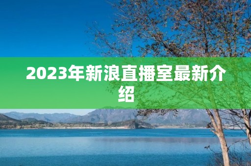 2023年新浪直播室最新介绍