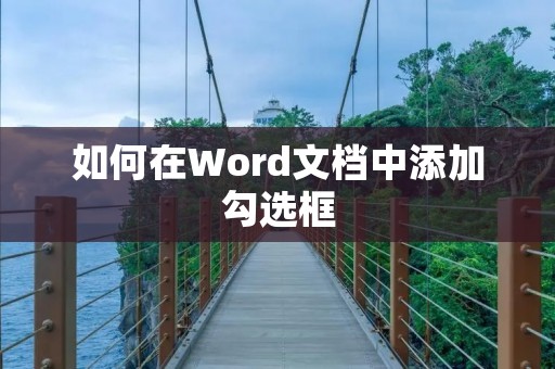 如何在Word文档中添加勾选框