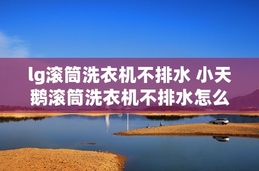 lg滚筒洗衣机不排水 小天鹅滚筒洗衣机不排水怎么处理
