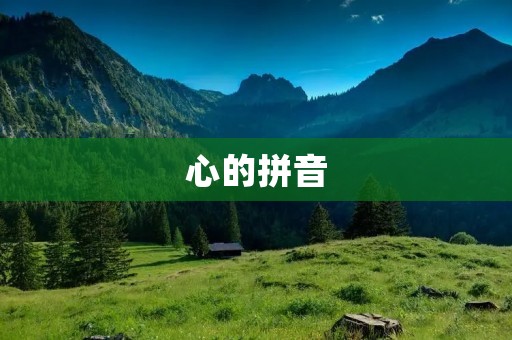 心的拼音:探索人类心灵深处的奥秘