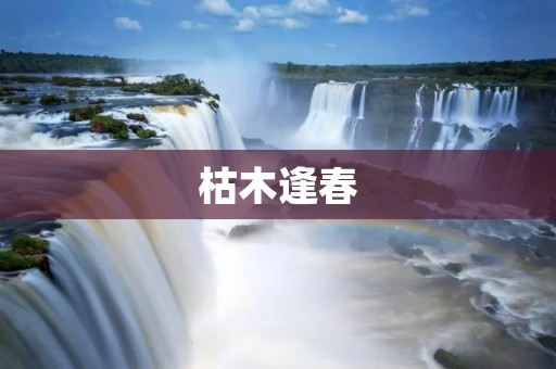 枯木逢春：枯树开花的奇迹