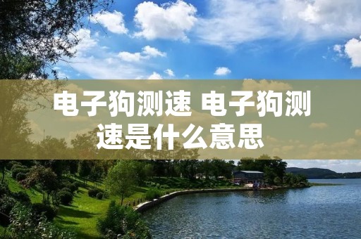 电子狗测速 电子狗测速是什么意思 电子狗测速 电子狗测速是什么意思