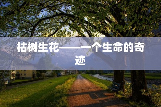 枯树生花——一个生命的奇迹