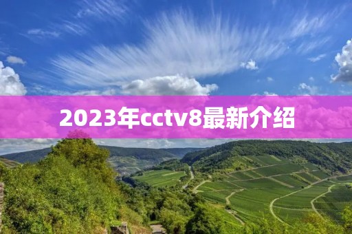 2023年cctv8最新介绍