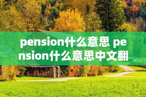 pension什么意思 pension什么意思中文翻译成