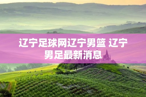辽宁足球网辽宁男篮 辽宁男足最新消息