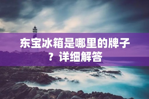 东宝冰箱是哪里的牌子？详细解答