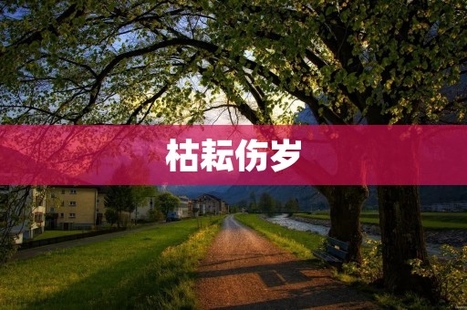 枯耘伤岁：关于当前农业现状的深度思考