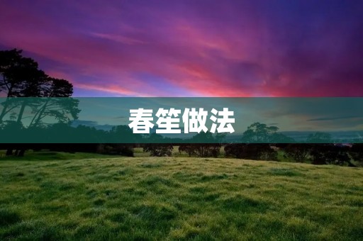 春笙做法:传统美味的制作方法 春笙做法:传统美味的制作方法