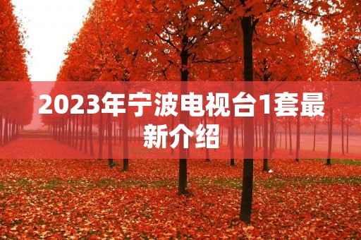 2023年宁波电视台1套最新介绍 2023年宁波电视台1套最新介绍