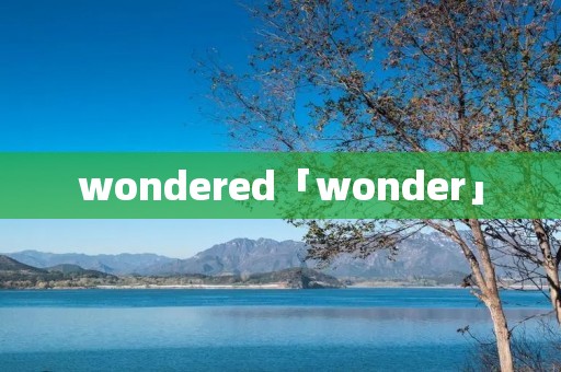 wondered「wonder」