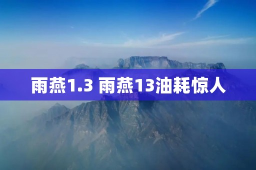 雨燕1.3 雨燕13油耗惊人