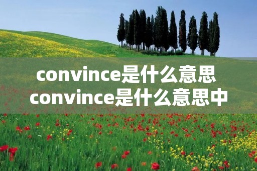 convince是什么意思 convince是什么意思中文翻译