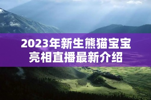 2023年新生熊猫宝宝亮相直播最新介绍
