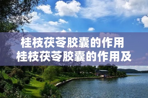 桂枝茯苓胶囊的作用 桂枝茯苓胶囊的作用及副作用