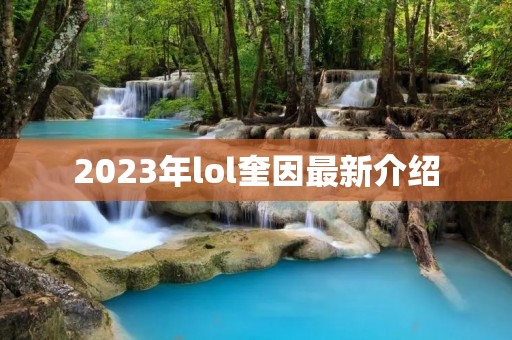 2023年lol奎因最新介绍