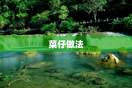 菜仔做法:让你在家也能享受道地的美味 菜仔做法:让你在家也能享受道地的美味