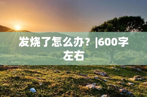 发烧了怎么办？|600字左右