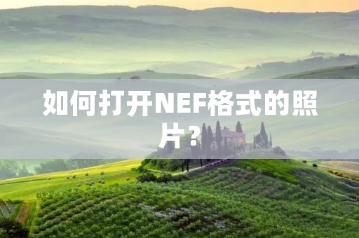 如何打开NEF格式的照片？