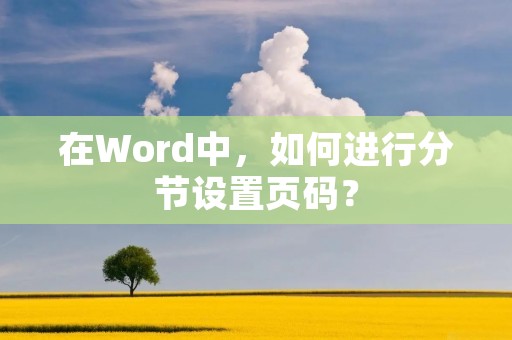 在Word中，如何进行分节设置页码？