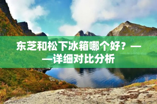 东芝和松下冰箱哪个好？——详细对比分析