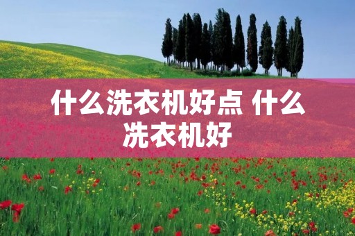 什么洗衣机好点 什么冼衣机好