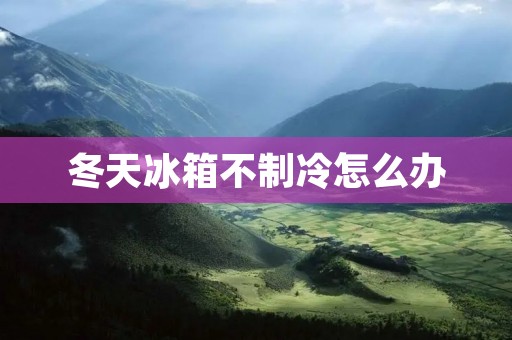 冬天冰箱不制冷怎么办 冬天冰箱不制冷怎么办