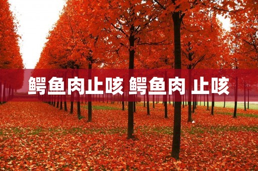 鳄鱼肉止咳 鳄鱼肉 止咳