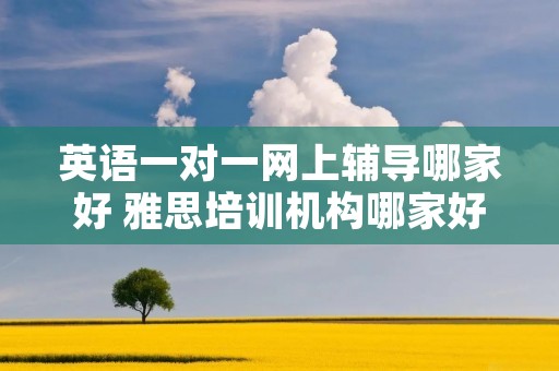英语一对一网上辅导哪家好 雅思培训机构哪家好机构排名